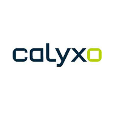 Moduli fotovoltaici Calyxo